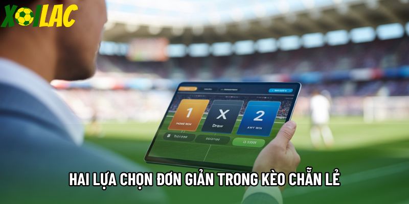 Hai lựa chọn đơn giản trong kèo chẵn lẻ