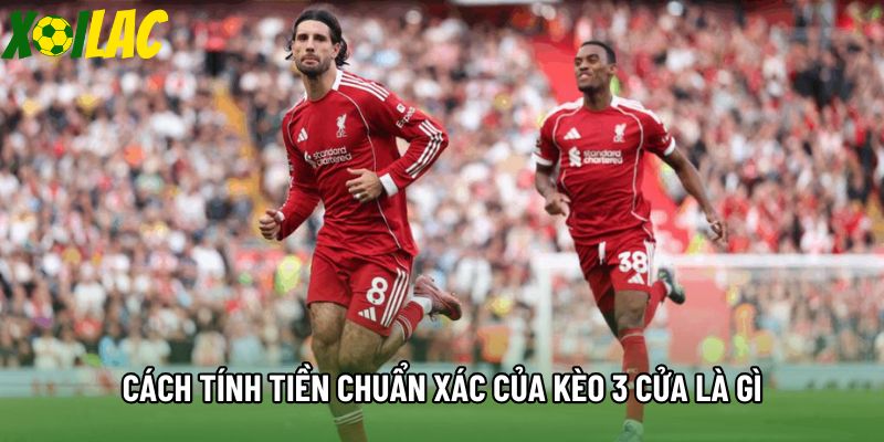 Cách tính tiền chuẩn xác của kèo 3 cửa là gì