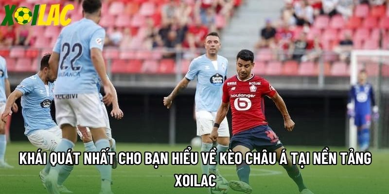 Khái quát nhất cho bạn hiểu về kèo châu á tại nền tảng Xoilac