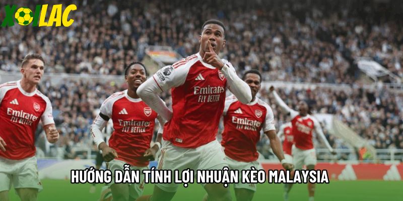 Hướng dẫn tính lợi nhuận kèo malaysia 