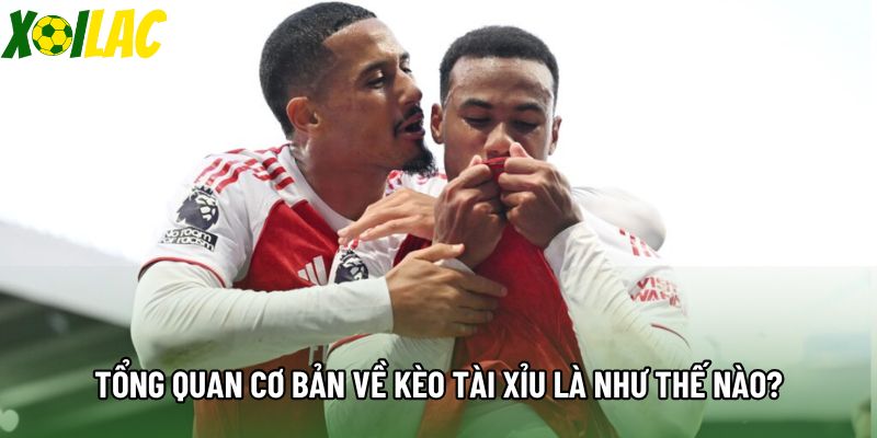 Tổng quan cơ bản về kèo tài xỉu là như thế nào?