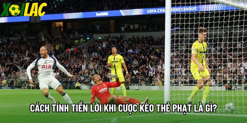 Cách tính tiền lời khi cược kèo thẻ phạt là gì?