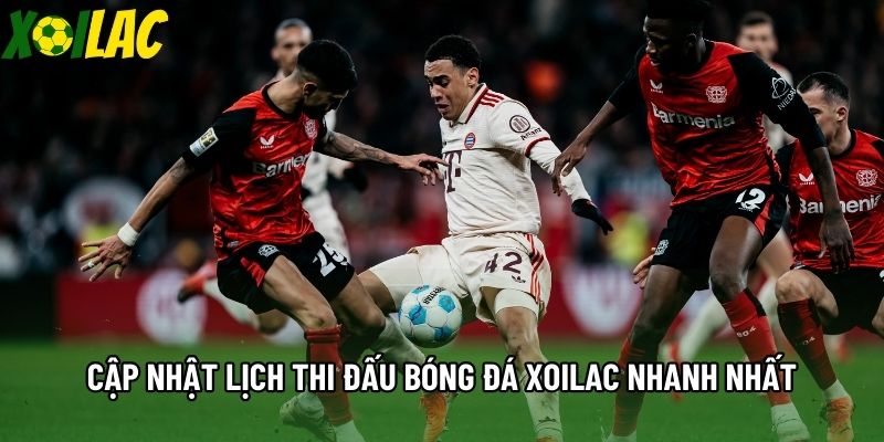 Cập nhật lịch thi đấu bóng đá Xoilac nhanh nhất