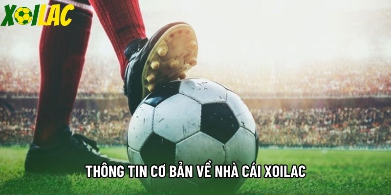 Thông tin cơ bản về nhà cái Xoilac